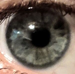 Meet your Posher, Breanna